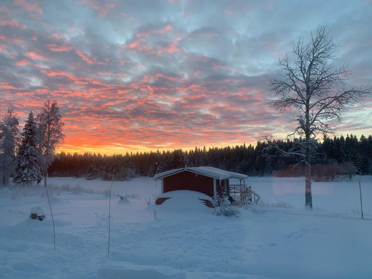 Luxus Tiny House Saagala Vila Tornio Exterior foto